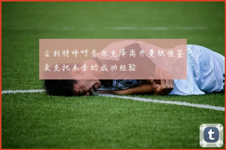 古利特呼吁齐尔克泽离开曼联借鉴麦克托米奈的成功经验