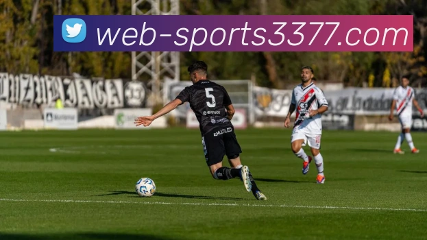 3377体育平台生态图